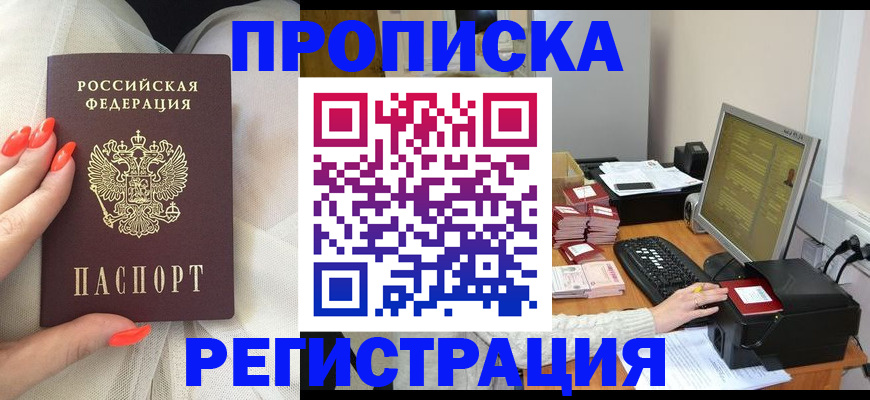 временная регистрация поиск в Палласовке